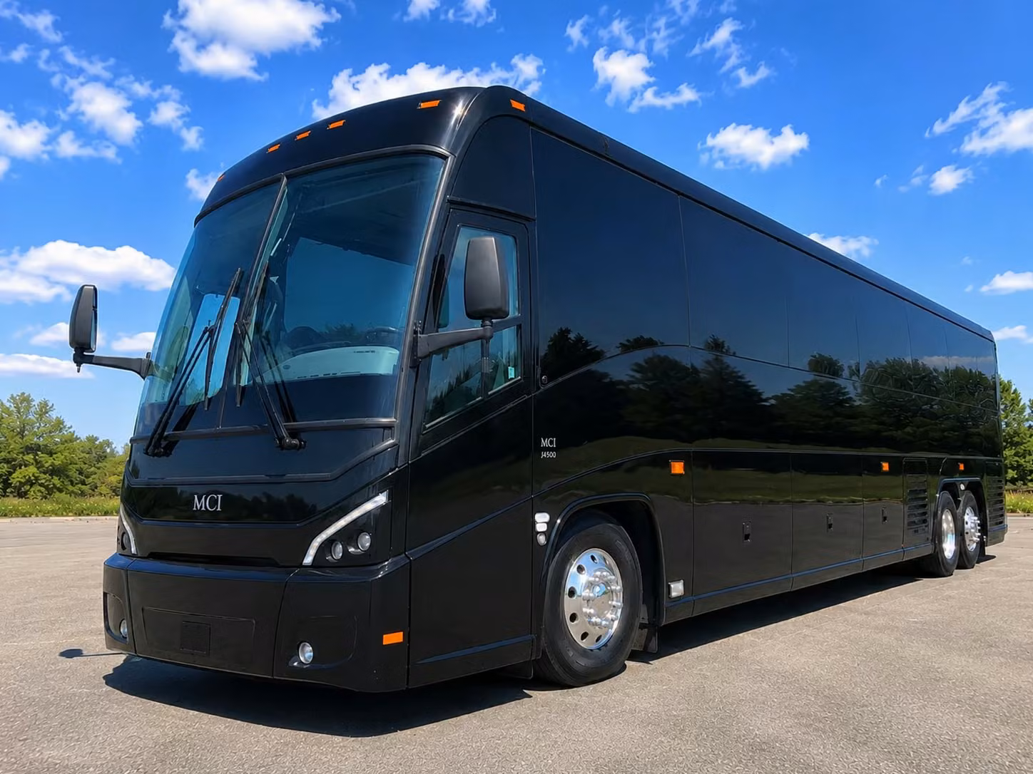 charter buses to the memphis zoo make field trips unforgettable